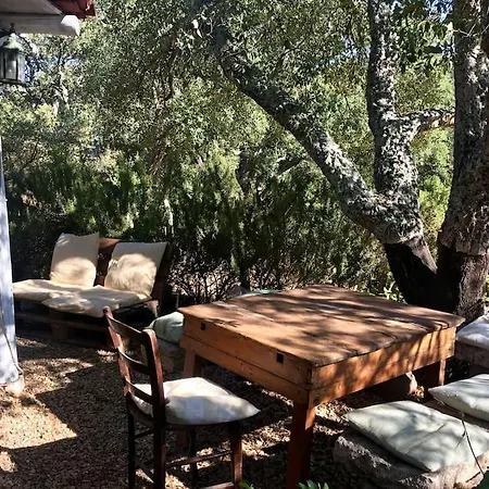 - Coghinas Super Riservato Con Piscina Oschiri